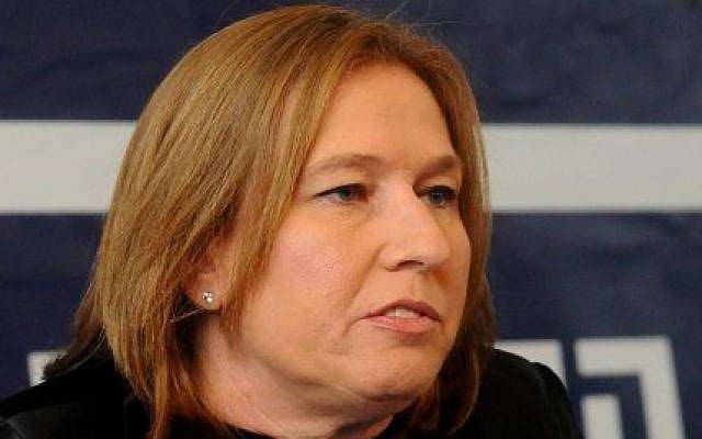 Tzipi Livni, head of the Hatnua party, January 2013. (photo credit: Yossi Zeliger/Flash90)