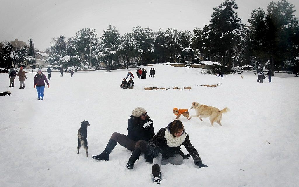 Jerusalemites frolic in the white stuff (photo credit: Miriam Alster/Flash 90)