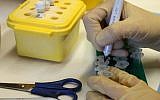 Working on breast cancer research at the Ben-Porath laboratory, Hadassah Hospital, Jerusalem. (Keren Freeman/Flash90)