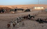 A Bedouin settlement in the Negev (illustrative photo credit: Alana Perino/Flash90)