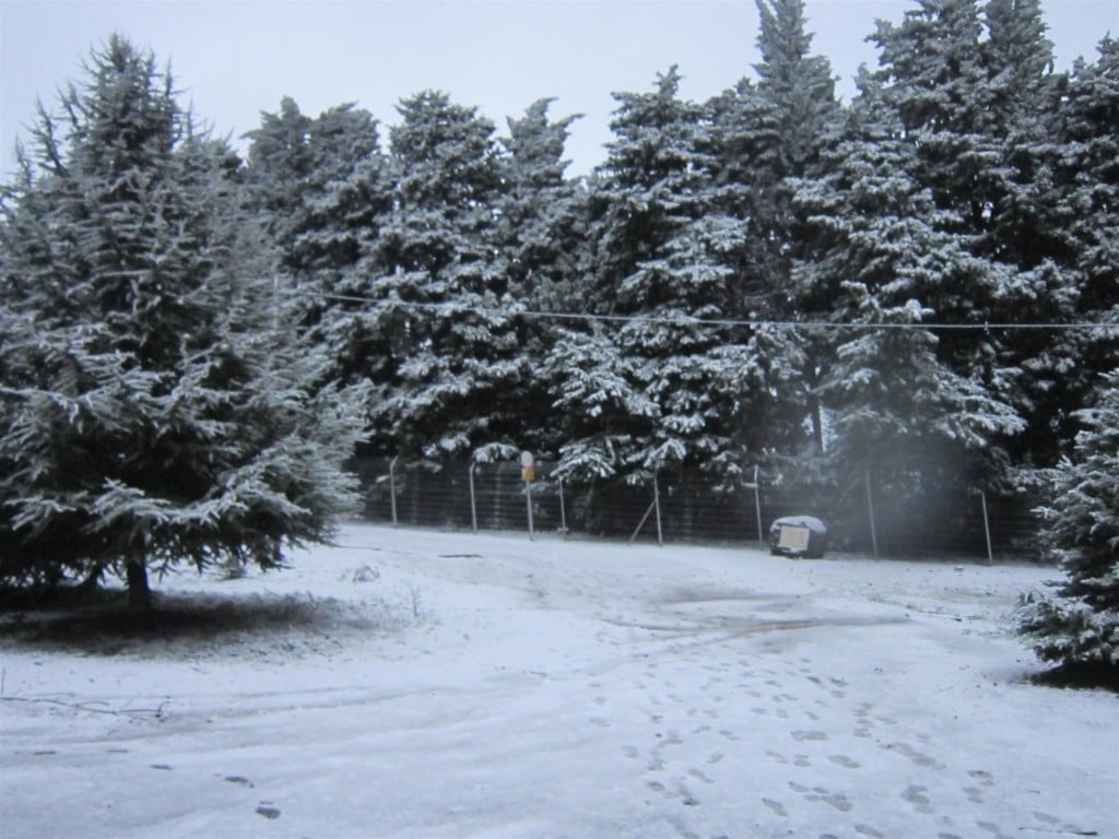 Snow in the Golan Heights on January 9, 2013. (photo courtesy of Naomi Yarm) Snow in the Golan Heights on January 9, 2013. (photo courtesy of Naomi Yarm)