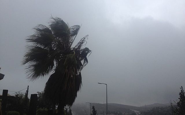Strong winds outside Jerusalem on Monday (photo credit: Joshua Davidovich/The Times of Israel)