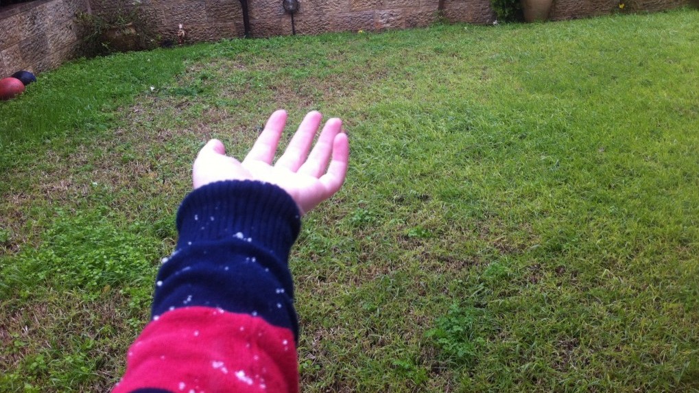 Dad, it's snow! Well, a bit hail-y, really... south Jerusalem, Wednesday, 10.30 am. (photo credit: KRH) Dad, it's snow! Well, a bit hail-y, really... south Jerusalem, Wednesday, 10.30 am. (photo credit: KRH)