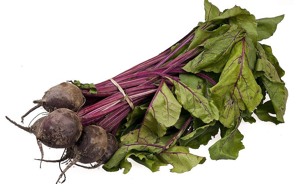 A bundle of organic beets from an English food co-op program (photo credit: Evan-Amos/Wiki Commons) A bundle of organic beets from an English food co-op program (photo credit: Evan-Amos/Wiki Commons)