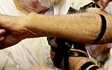 A Holocaust survivor with a number tattooed on his forearm puts on Tefillin (photo credit: Flash90)