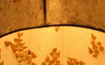 A look at the inside of one of Na'ama Steigman Gavish's 'bar gavia' fixtures (photo credit: Na'ama Steigman Gavish) A look at the inside of one of Na'ama Steigman Gavish's 'bar gavia' fixtures (photo credit: Na'ama Steigman Gavish)
