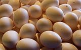Eggs or a bunch of Haman's eyes? (photo credit: Nati Shochat/Flash 90)