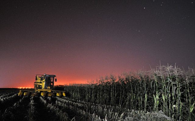 Cutting corn on the lower Golan Heights, near Kibbutz Mevo Hama (Photo credit: Shay Levy/ Flash 90) Cutting corn on the lower Golan Heights, near Kibbutz Mevo Hama (Photo credit: Shay Levy/ Flash 90)