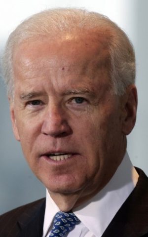 US Vice President Joe Biden speaks in Germany, February 2013 (photo credit: AP/Markus Schreiber)