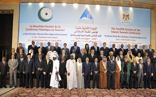 Leaders of nations taking part in the Organization of Islamic Cooperation's two-day summit, which brings together leaders from across the Muslim world, pose for a group photograph in Cairo, Egypt, Wednesday, Feb. 6, 2013. (photo credit: AP/Egyptian Presidency)