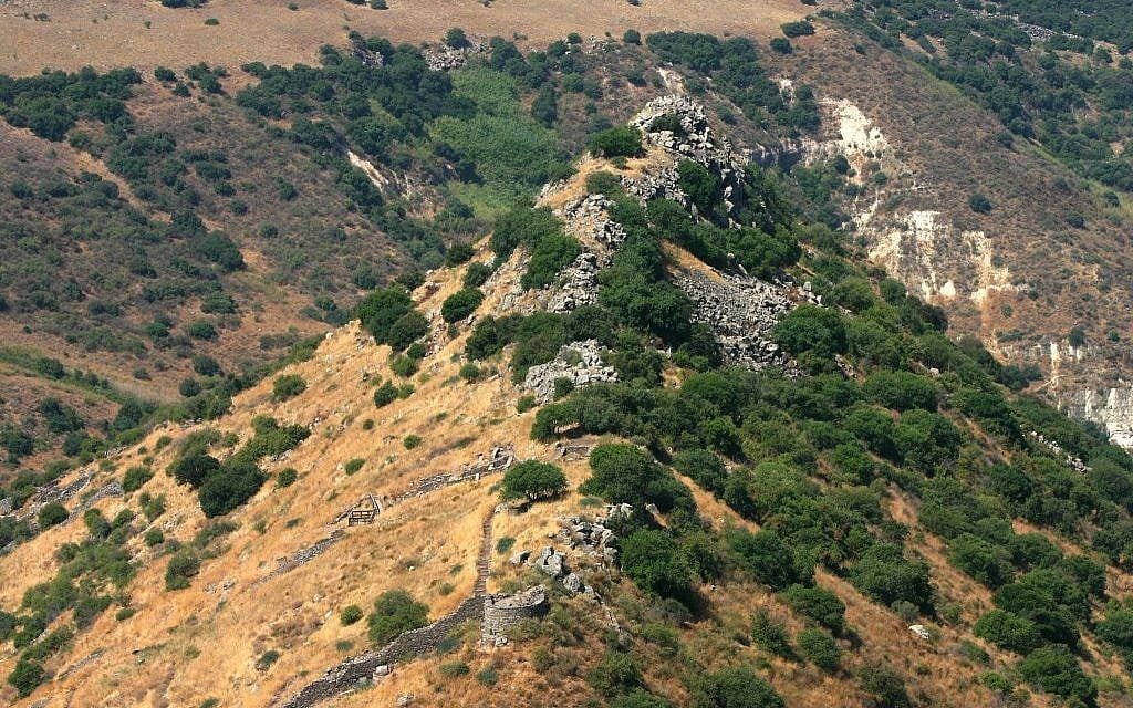 Gamla's unmistakable hump (photo credit: Shmuel Bar-Am) Gamla's unmistakable hump (photo credit: Shmuel Bar-Am)