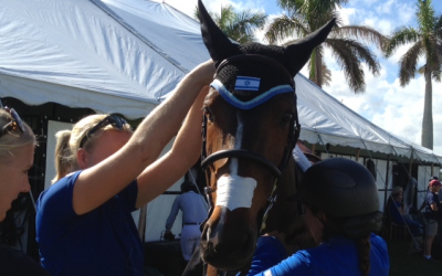 Like its owner, Goldstein's horse sports the Star of David during competitions. (Courtesy of Danielle Goldstein)
