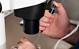 (Illustrative  image of in vitro fertilization  via Shutterstock)
