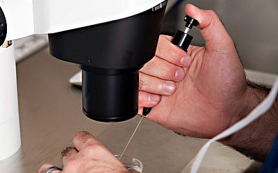 (Illustrative  image of in vitro fertilization  via Shutterstock)