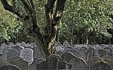 Jewish graves in Amsterdam (photo credit: CC BY-SA, Frederik Balhuizen, Wikimedia commons)