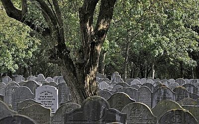 Jewish graves in Amsterdam (photo credit: CC BY-SA, Frederik Balhuizen, Wikimedia commons)