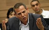 MK Nitzan Horovitz of Meretz in 2013. (Miriam Alster/Flash90)