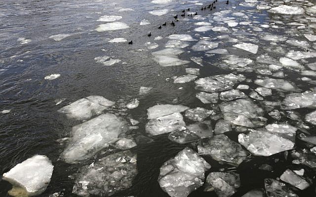 Illustrative photo of ducks on an icy lake (photo credit: Miriam Alster/Flash90)