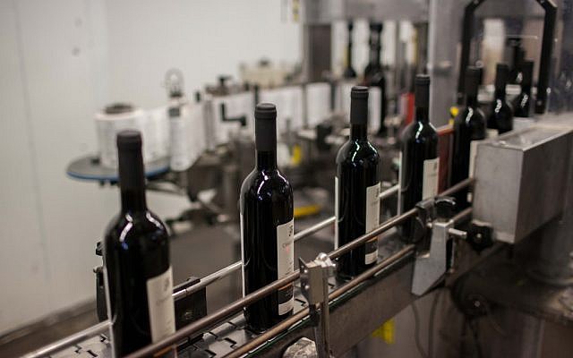 Illustrative photo of kosher wine production in Israel. (Yonatan Sindel/Flash90)