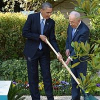 President Barack Obama and President Shimon Peres plant a tree during a welcoming ceremony for Obama at Peres's residence in Jerusalem on March 20, 2013. (Photo credit: Amos Ben Gershom/GPO/Flash90)