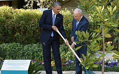 President Barack Obama and President Shimon Peres plant a tree during a welcoming ceremony for Obama at Peres's residence in Jerusalem on March 20, 2013. (Photo credit: Amos Ben Gershom/GPO/Flash90)