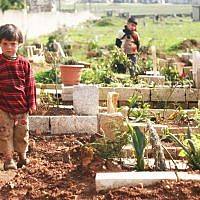 Among the fresh graves of FSA soldiers in Qalaat al-Madik (photo: Eliyahu Kamisher) Among the fresh graves of FSA soldiers in Qalaat al-Madik (photo: Eliyahu Kamisher)