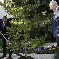 President Barack Obama and President Shimon Peres plant a tree during a welcoming ceremony for Obama at Peres' residence in Jerusalem on March 20, 2013. (Photo credit: AP)