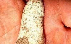 A prehistoric stone fertility object in the shape of a phallus, found on the route of a planned rail line in northern Israel (photo credit: Courtesy of the Israel Antiquities Authority)