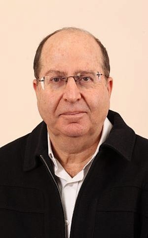 MK Moshe Ya'alon (Likud), February 2013. (photo credit: FLASH90)