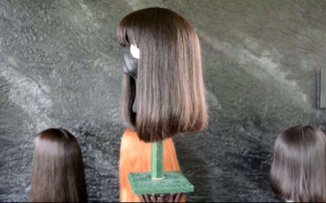 Atsuko Tanaka questions the "modesty" of paying $450 to look good in a wig. (Illustrative photo: YouTube screenshot) Atsuko Tanaka questions the "modesty" of paying $450 to look good in a wig. (Illustrative photo: YouTube screenshot)