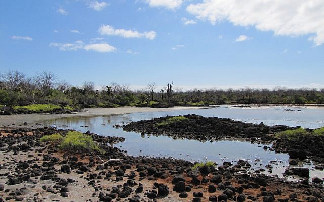 The Galapagos Islands in the Pacific Ocean, 2010. (photo credit: CC BY: David Berkowitz/Flickr) The Galapagos Islands in the Pacific Ocean, 2010. (photo credit: CC BY: David Berkowitz/Flickr)