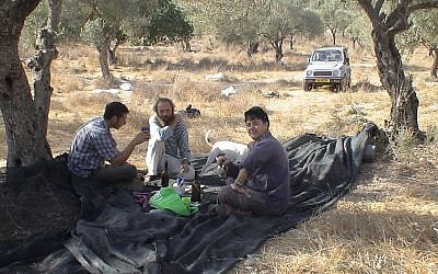 The writer (right) amid the olive trees (photo credit: Arieh O'Sullivan)