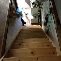 Shira Wise built her open stairs twice, but now they're well-spaced (photo credit: Jessica Steinberg/Times of Israel)