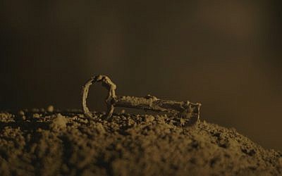 A scene from 'No Place on Earth.' (photo credit: Magnolia Pictures) A scene from 'No Place on Earth.' (photo credit: Magnolia Pictures)