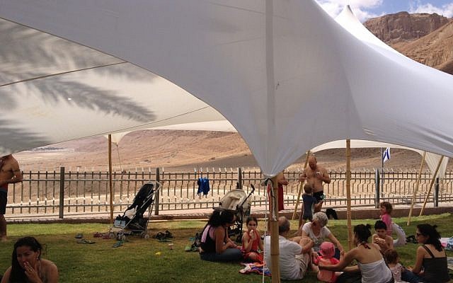 Picnickers at Kibbutz Ein Gedi near the Dead Sea. (photo credit: Amanda Borschel-Dan/Times of Israel staff) Picnickers at Kibbutz Ein Gedi near the Dead Sea. (photo credit: Amanda Borschel-Dan/Times of Israel staff)