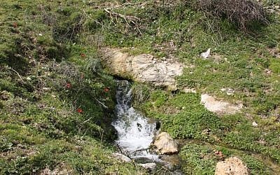 Waterfalls on path to Nahal, Gush Halav (photo credit: Shmuel Bar-Am)