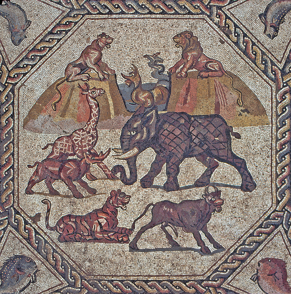 Part of the Lod mosaic (photo credit: Niki Davidov/courtesy of the Israel Antiquities Authority)