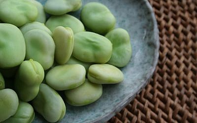 Fava beans after being cooked (photo credit: Richard W.M. Jones/CCA-SA)
