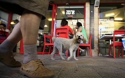 An Aroma franchise in Jerusalem (illustrative photo: Nati Shohat/Flash90)