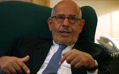 Egypt's leading opposition leader Mohamed ElBaradei speaks to journalists at his house in the outskirts of Cairo, Egypt. Tuesday, April 30 (photo credit: AP/Khalil Hamra)