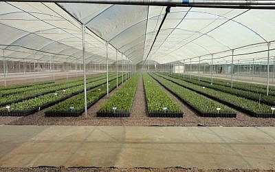 Agri-business is just part of the $5 billion trade between India and Israel. (photo credit: courtesy)