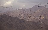 Landscape outside the city of Eilat (photo credit:  Matanya Tausig/Flash90)