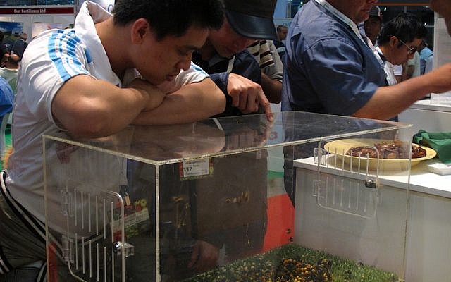 Visitors peer at the Bio-Bee display at the Fresh Agromashav show (Photo credit: Courtesy) Visitors peer at the Bio-Bee display at the Fresh Agromashav show (Photo credit: Courtesy)