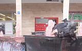Severed cow head placed at a Tel Aviv fountain, on March 5, 2013. (photo credit: Roni Schutzer/Flash90)