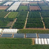 The other Israeli army: neat ranks of crops pack the landscape like so many sentries. (photo: Qanta Ahmed)