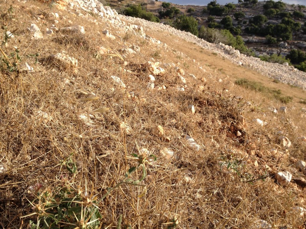 Walking toward Eagle Cliff, around the corner from Mizpe Hila (photo credit: Jessica Steinberg/Times of Israel)