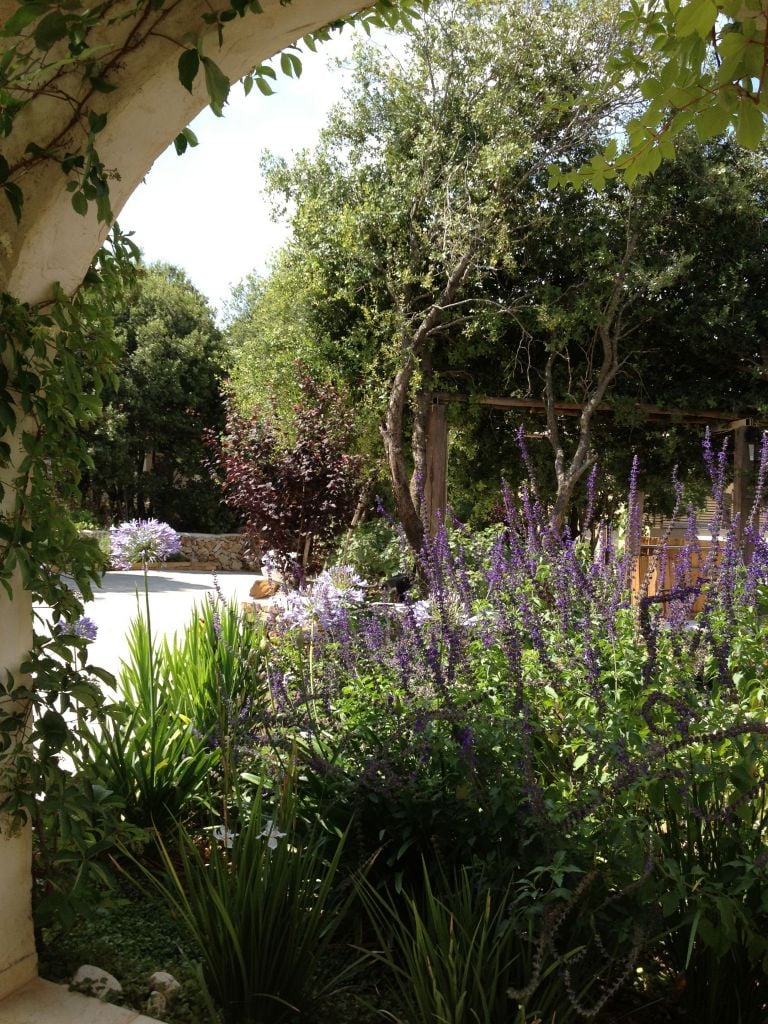 A view of the lily-padded fish pond at Tamar v'Gefen (photo credit: Jessica Steinberg/Times of Israel)