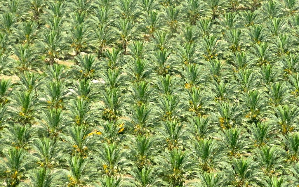 Rolling land, feeds, nurtures, inspires, survives... (photo: Qanta Ahmed)