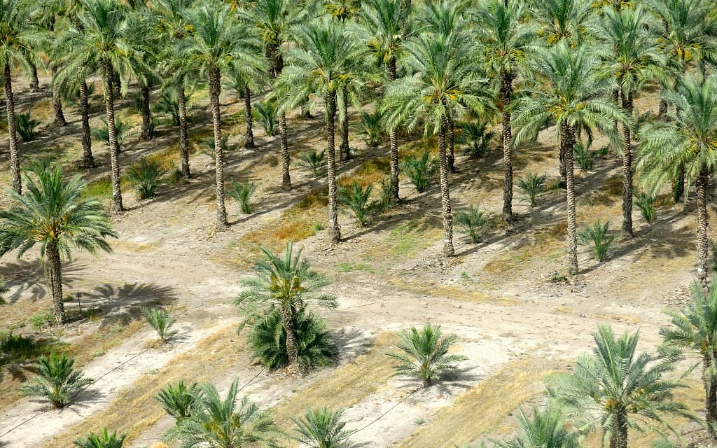 Rolling land, feeds, nurtures, inspires, survives... (photo: Qanta Ahmed)
