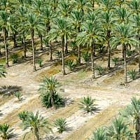Rolling land, feeds, nurtures, inspires, survives... (photo: Qanta Ahmed)